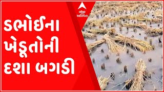 મારુ ગામ મારી વાતઃડભોઈ તાલુકાના ખેડૂતોની શું છે સમસ્યા?,જુઓ ગુજરાતી ન્યૂઝ