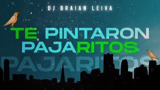 Te Pintaron Pajaritos (Old Remix) - Yandar & Yostin, Andy Rivera - DJ Braian Lei