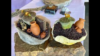 Living Stone Succulent! Lithops!! - Episode 151