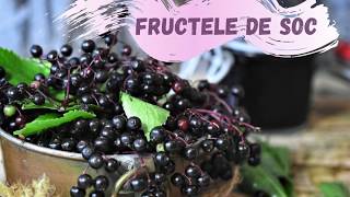 FRUCTELE DE SOC - beneficii