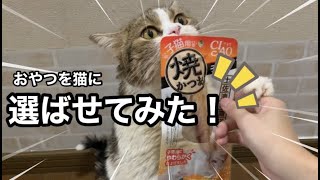 猫のおやつの食べ方が可愛いすぎた