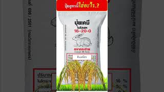 ปุ๋ยสูตร 16-20-0 ใช้ในดินแบบไหน