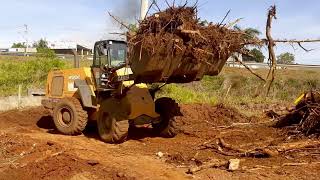 Pá carregadeira removendo entulho e galhos(Wheel loader removing debris and roosters)