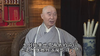 珍惜生命請勿殺害動物（第三集）