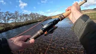 Scottish Springer Fishing