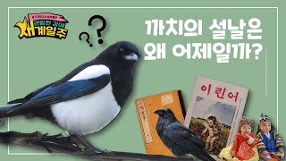 [2023 특별전] 《다시, 새가 날아든다》 까치의 설날은 왜 어제일까?