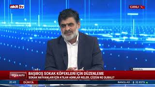 Derin Kutu - Başıboş sokak köpekleri için düzenleme 23.07.2024