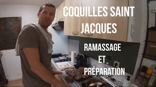 coquilles 2025 ramassage et préparation (chasse sous marine - Bretagne) #fishing #spearfishing