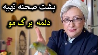 پشت صحنه آشپزی مریم امیرجلالی « دلمه  برگ مو »