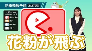 日差しが届いて晴れ 花粉が多く飛ぶ予想