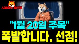 [시바이누 코인 전망] 2025년 새해 대폭발! 0.000025달러 저항선 돌파 임박! 1월 20일 주목! 선점!!!