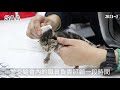 【saa動物救援】 回收場逃出生天的小貓咪 aliyuk