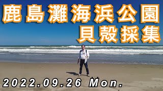 【Vlog花鳥風月】鹿島灘海浜公園を歩く_貝殻採集_2022.09.26