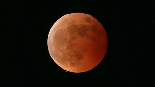 【8K】442年ぶりの天体ショー　皆既月食＆惑星食　天王星食　Total lunar eclipse 2022.11.8 次回は213年後！