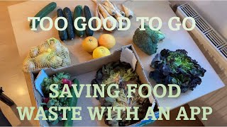 Saving food waste with Too Good to Go in Vienna | How it works? What did i get? How I used them?