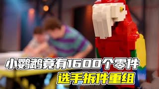 【乐高合集】小小鹦鹉竟有1600个零件，选手拆件重组，冠军竟是这组作品