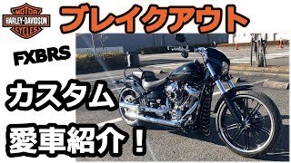 ハーレー カスタム 愛車紹介！2022年式 FXBRS ブレイクアウト ！