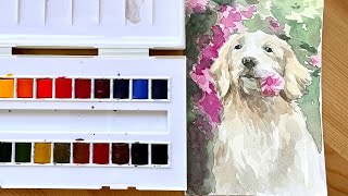 Paint with Sennelier 24 Watercolours Set Unboxing/Swatches