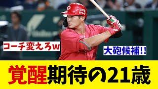 広島　覚醒期待の大砲候補【野球情報】【2ch 5ch】【なんJ なんG反応】【野球スレ】