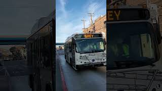 San Francisco Muni Proterra ZX5 battery electric bus leading UCSF BYD K7 battery electric buses.