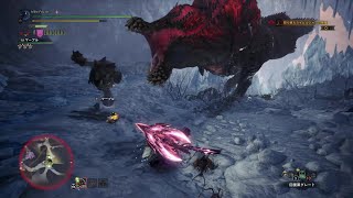 【MHW IB】☆5 怒り喰らうイビルジョー チャアク