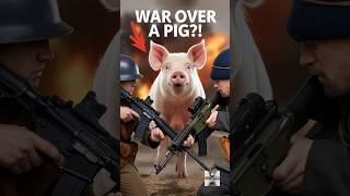 This War Had One Casualty… And It Was a Pig