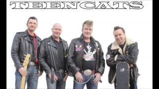Teencats - Rock 'N Roll Is King