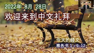 여의도침례교회 중국어예배 汝矣岛教会 中文礼拜 姜俊寿牧师 20220829