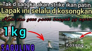 MANCING SAGULING.Tak d sangka akan strike ikan patin.👍 #Asoaditiyafishing