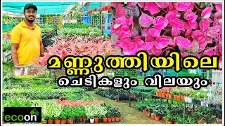 മണ്ണുത്തിയിലെ ചെടികളും വിലയും | Mannuthy Nursery Tour | ecoon plants | Beemaa Nursery Mannuthy