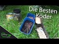 Die besten Köder für Friedfische & wie man sie an den Haken macht - Tutorial mit Felix Scheuermann