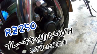 RZ250ブレーキキャリパーオーバーホール（ダブルディスク車）素人DIY