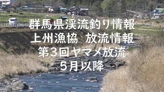 群馬県渓流釣り情報　２０２３．５月～　上州漁協管内第3回ヤマメ放流等