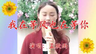 我在等风也在等你     演唱 : 胡蜜丹(徽州黄梅)