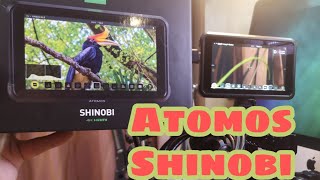 รีวิว​ Atomos​ Shinobi​ 5inch