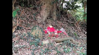 龍潭伯公傳說---48三水里福德祠(三)(田尾+申屋+樟樹下+七鄰)