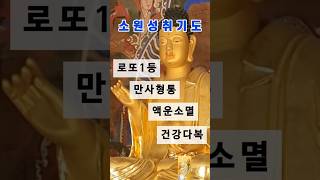 로또1등당첨 소원성취 만사형통 여주 신륵사 천년고찰 사찰여행 당일치기 가볼만한곳 반야심경 천수경 금강경 목탁소리 화엄경 관세음보살 나무아미타불 불교불경 지장보살 부처님 33관음성지