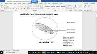 Virtual Microscope lab instructions part 1