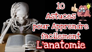 Comment apprendre l'anatomie rapidement : 10 conseils pour retenir l'anatomie facilement.