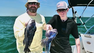 Springtime Black Sea Bass Fishing on Buzzard's Bay