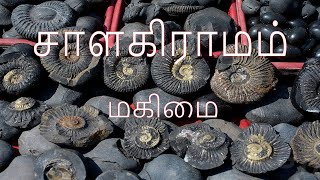 SALAGRAMAM |[சாளகிராம மகிமை]|ஸ்ரீனிவாசன்