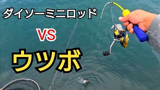 【ダイソー穴釣り用ミニロッド】の強度が凄すぎた!!ウツボとも戦える！