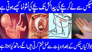 Aurat Ka Pait Ma Bacha Kaise Banta Hai | How Baby is Grow in Mother Stomach in Hindi | Urdu