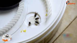 ឧបកណ៍ចាប់រុយ Electronic Housefly Trap Final