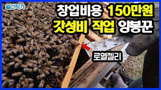 양봉 초기자금 150만원만 있으면 충분히 시작할수있는 이유ㅣ부업으로도 괜찮은 이유