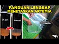 TUTORIAL CARA MENETASKAN ARTEMIA DENGAN AERATOR MURAH DAN MUDAH