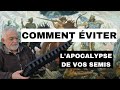 comment éviter les pires erreurs pour les semis