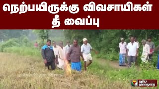 நெற்பயிருக்கு விவசாயிகள் தீ வைப்பு| PTT