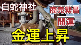 【白蛇神社】金運・商売繁盛・健康長寿の神様　遠隔参拝　開運神社　開運動画