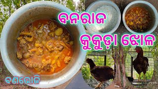 ଜଙ୍ଗଲ ଭିତରେ / ବନରାଜ କୁକୁଡ଼ା ଝୋଳ / Banaraj Chicken / in Forest / Special  Chicken Recipe / ବଣଭୋଜି